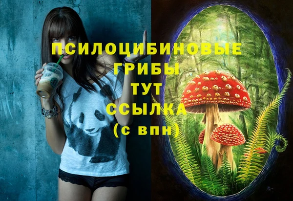 мдма Снежногорск